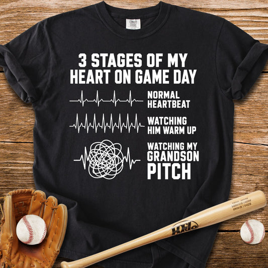 Grandson Pitch T-Shirt - HomeRun PrintsComfort Colors