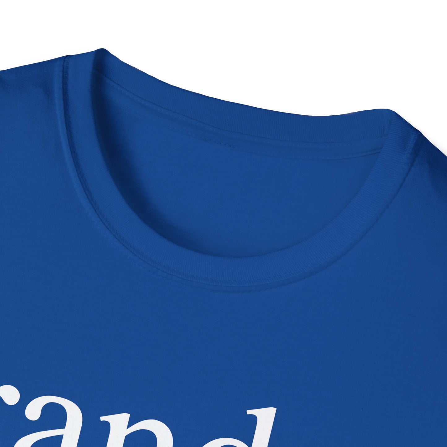 Baseball Grandpa Job T-Shirt