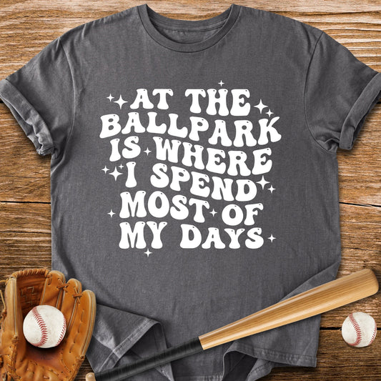 Funny Ballpark - HomeRun PrintsT-Shirt