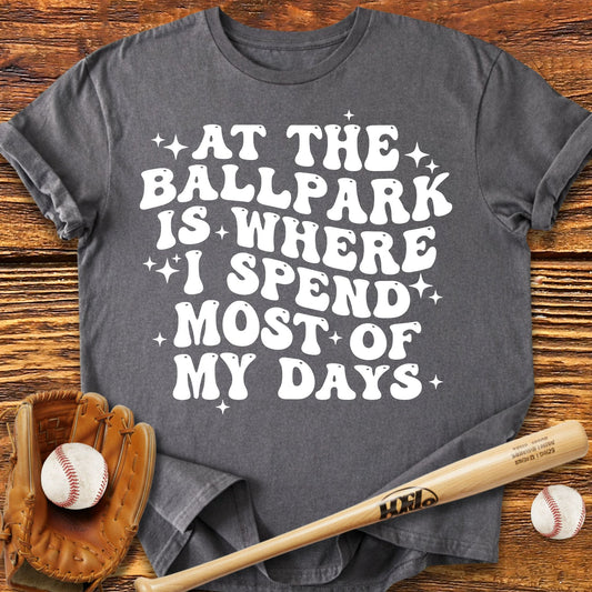 Funny Ballpark T-Shirt - HomeRun PrintsT-Shirt