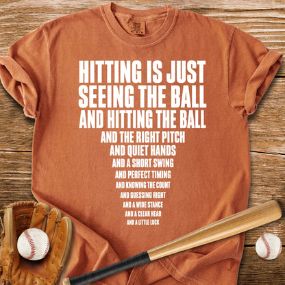 Funny Baseball Hitting - HomeRun PrintsComfort Colors