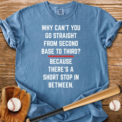 Funny Baseball Joke - HomeRun PrintsComfort Colors