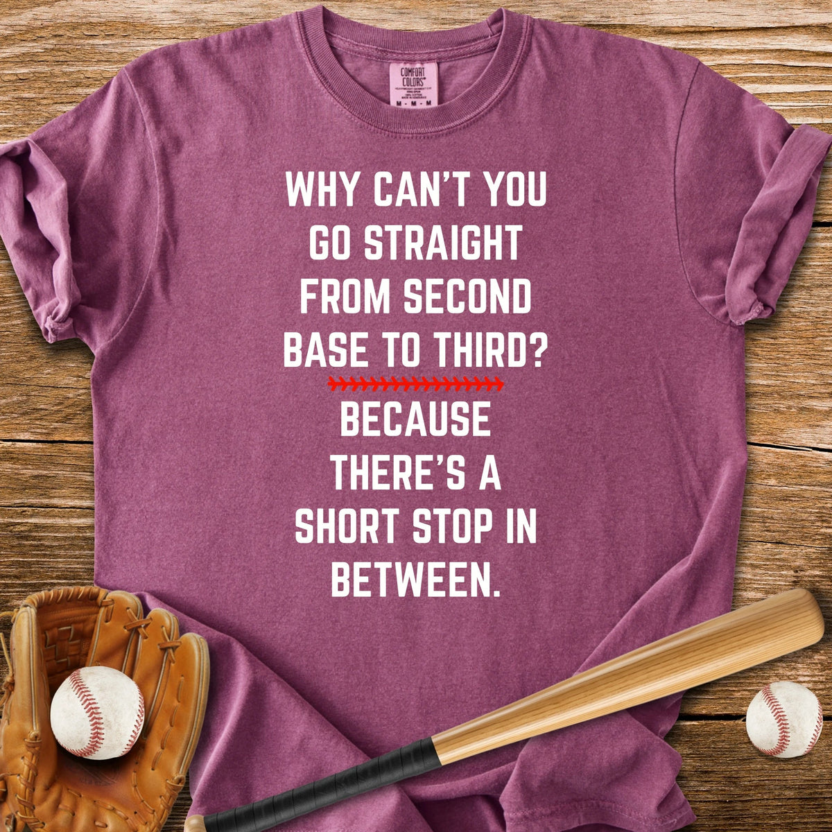 Funny Baseball Joke - HomeRun PrintsComfort Colors