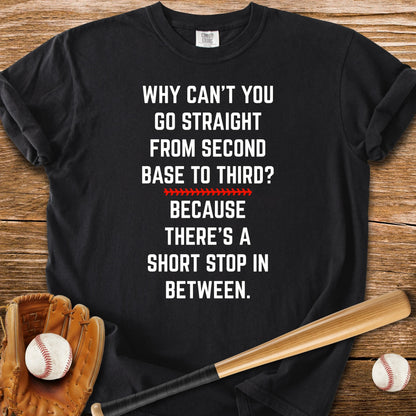 Funny Baseball Joke - HomeRun PrintsComfort Colors