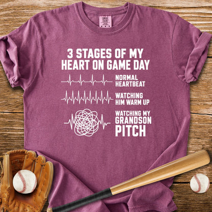 Grandson Pitch - HomeRun PrintsComfort Colors