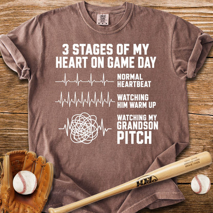 Grandson Pitch T-Shirt - HomeRun PrintsComfort Colors
