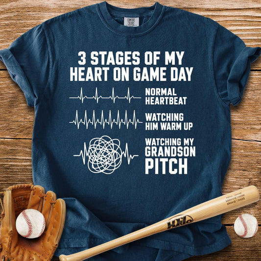 Grandson Pitch T-Shirt - HomeRun PrintsComfort Colors