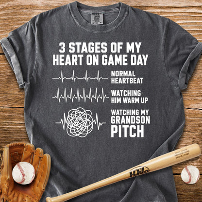 Grandson Pitch T-Shirt - HomeRun PrintsComfort Colors